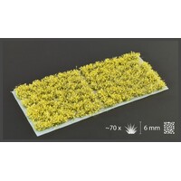 Gamers Grass Yellow Flowers (Wild)