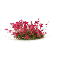 Gamers Grass Pink Flowers (Wild)