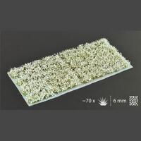 Gamers Grass White Flowers (Wild)