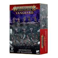 Vanguard: Hedonites Of Slaanesh